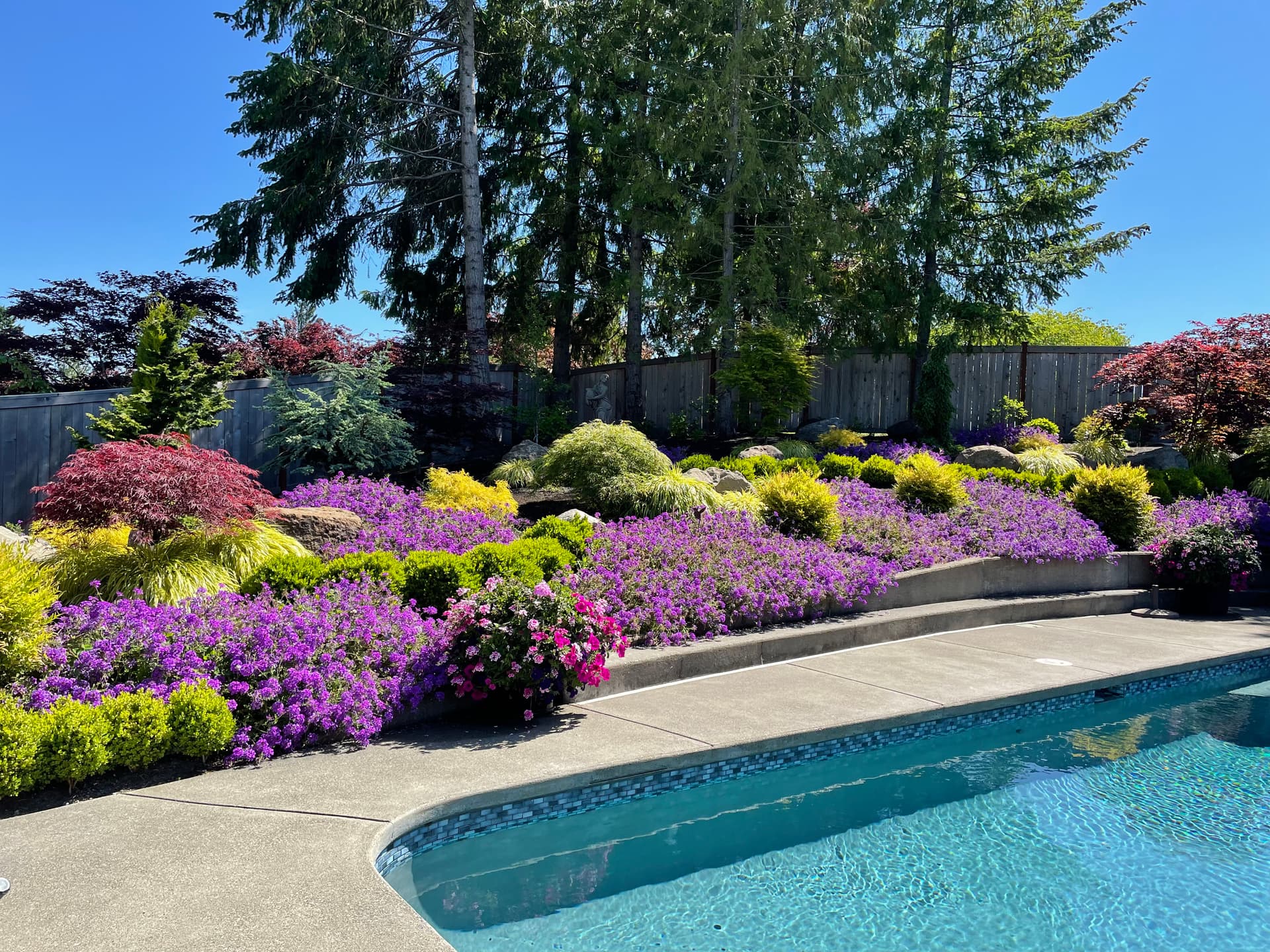 Enhance Your Outdoor Space with Our Expert Services image