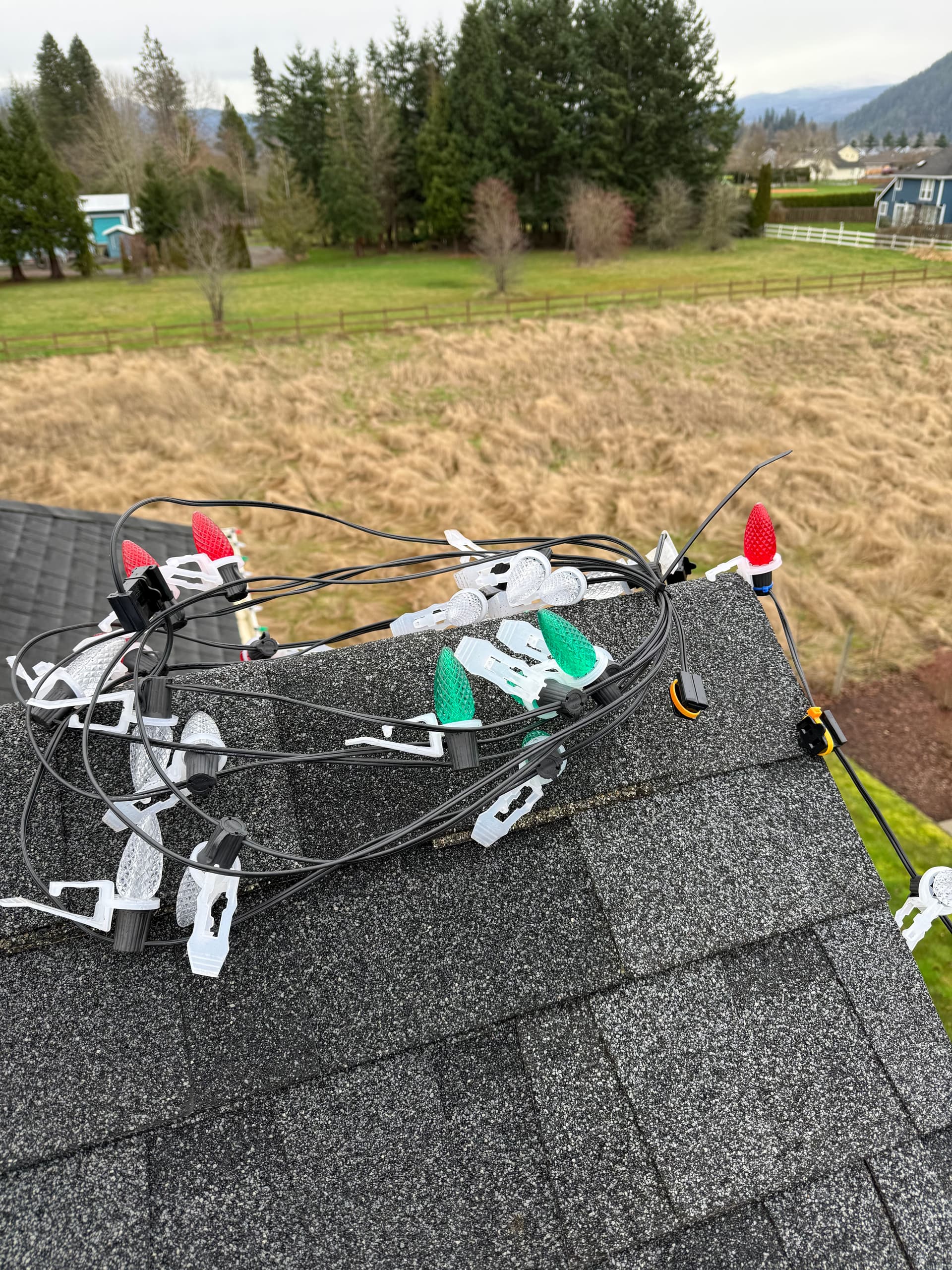 Gallery photos for Efficient Holiday Light Removal in Enumclaw: Image #1