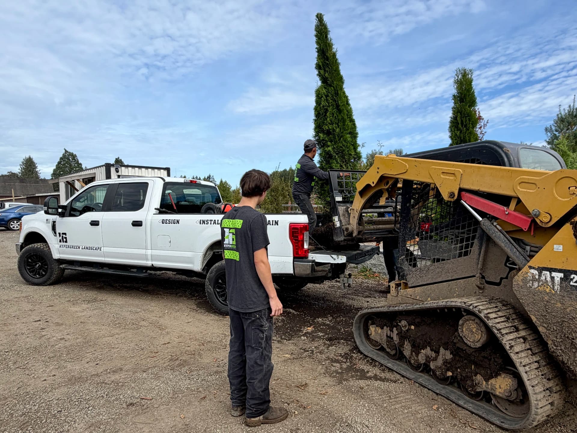 Arborvitae Privacy Tree Planting in Buckley WA image