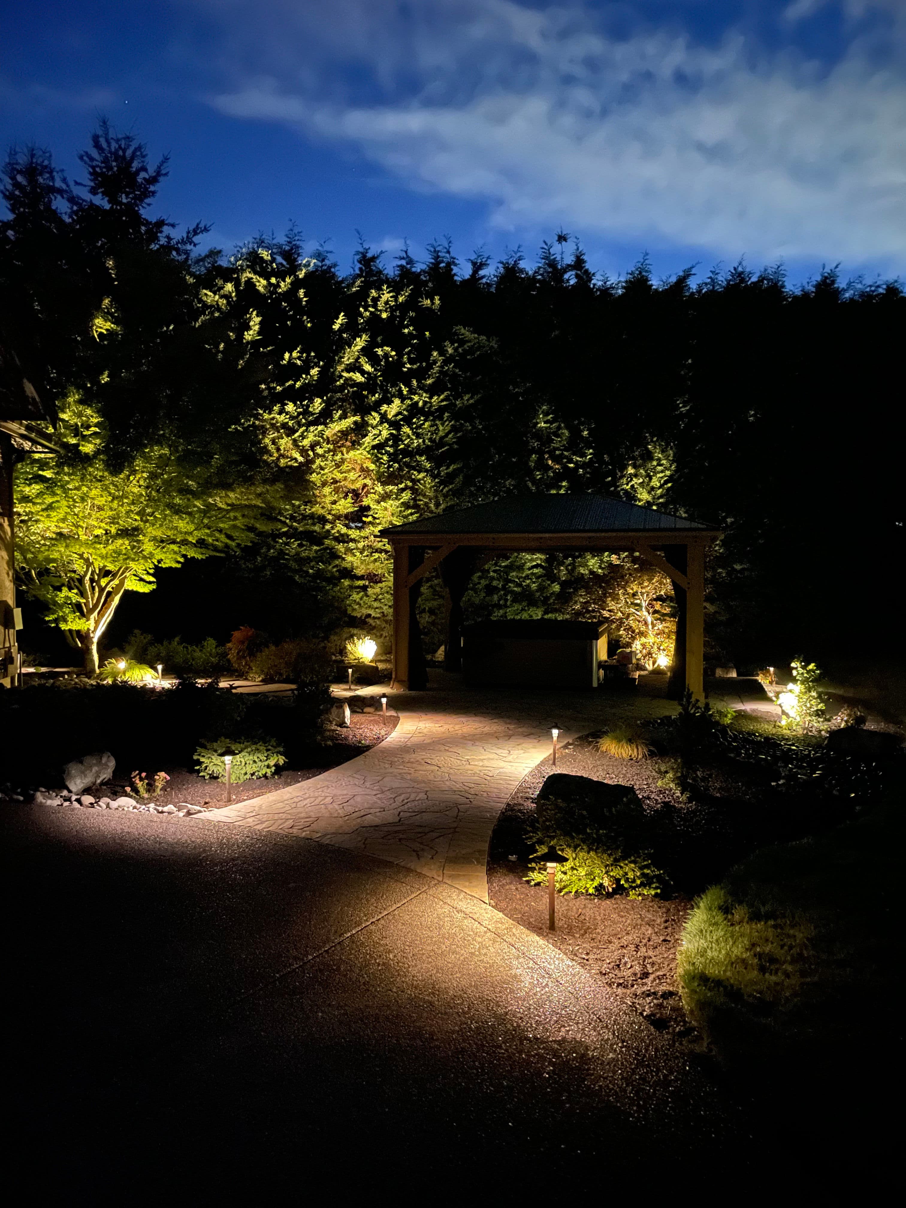Project Sumner Backyard Built for Day and Night Enjoyment image