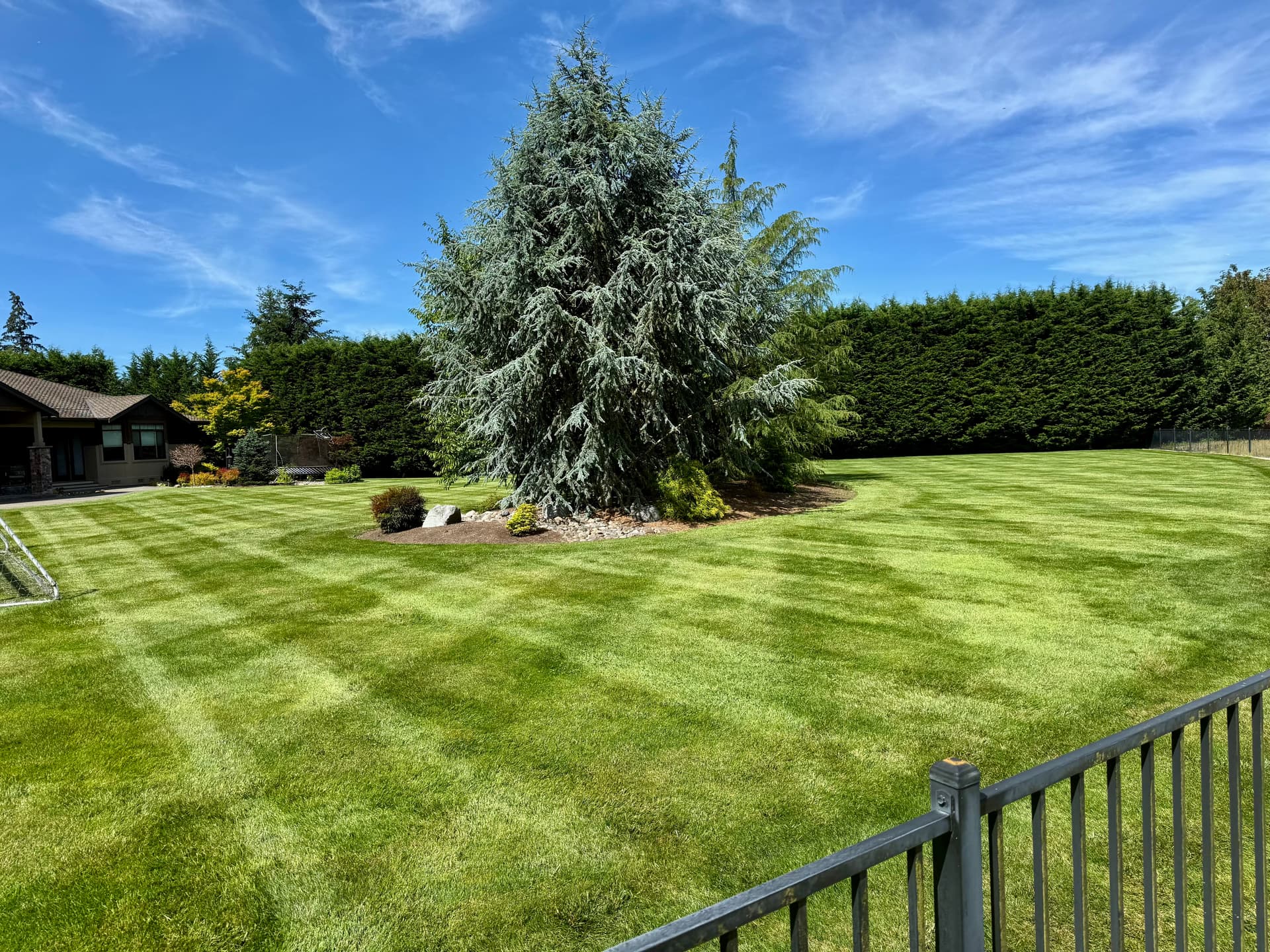 Lawn Striping Done Right in Sumner image