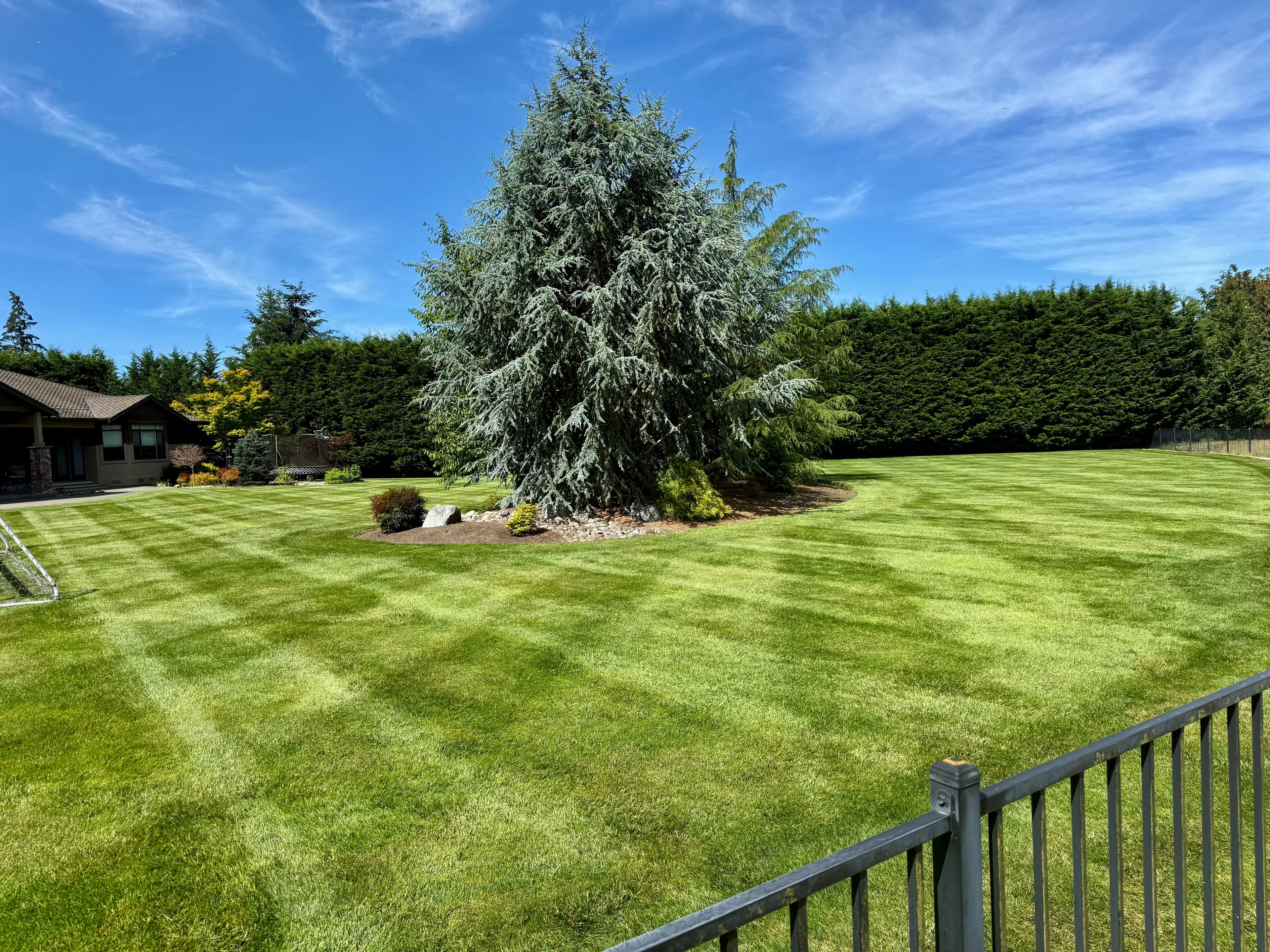 Project Lawn Striping Done Right in Sumner image