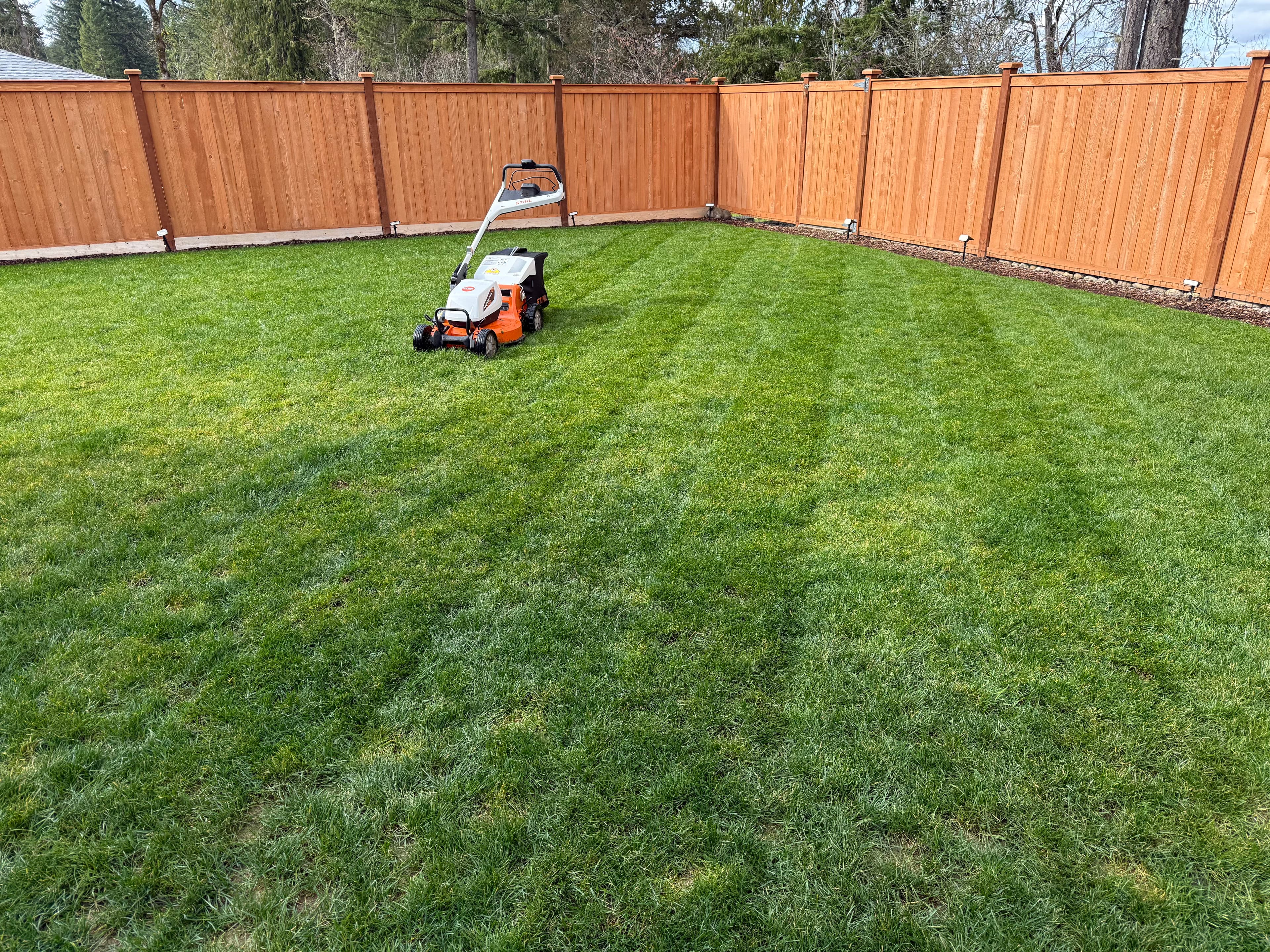 Project Achieve a Green Oasis with Pre-Season Lawn Care in Bonney Lake image