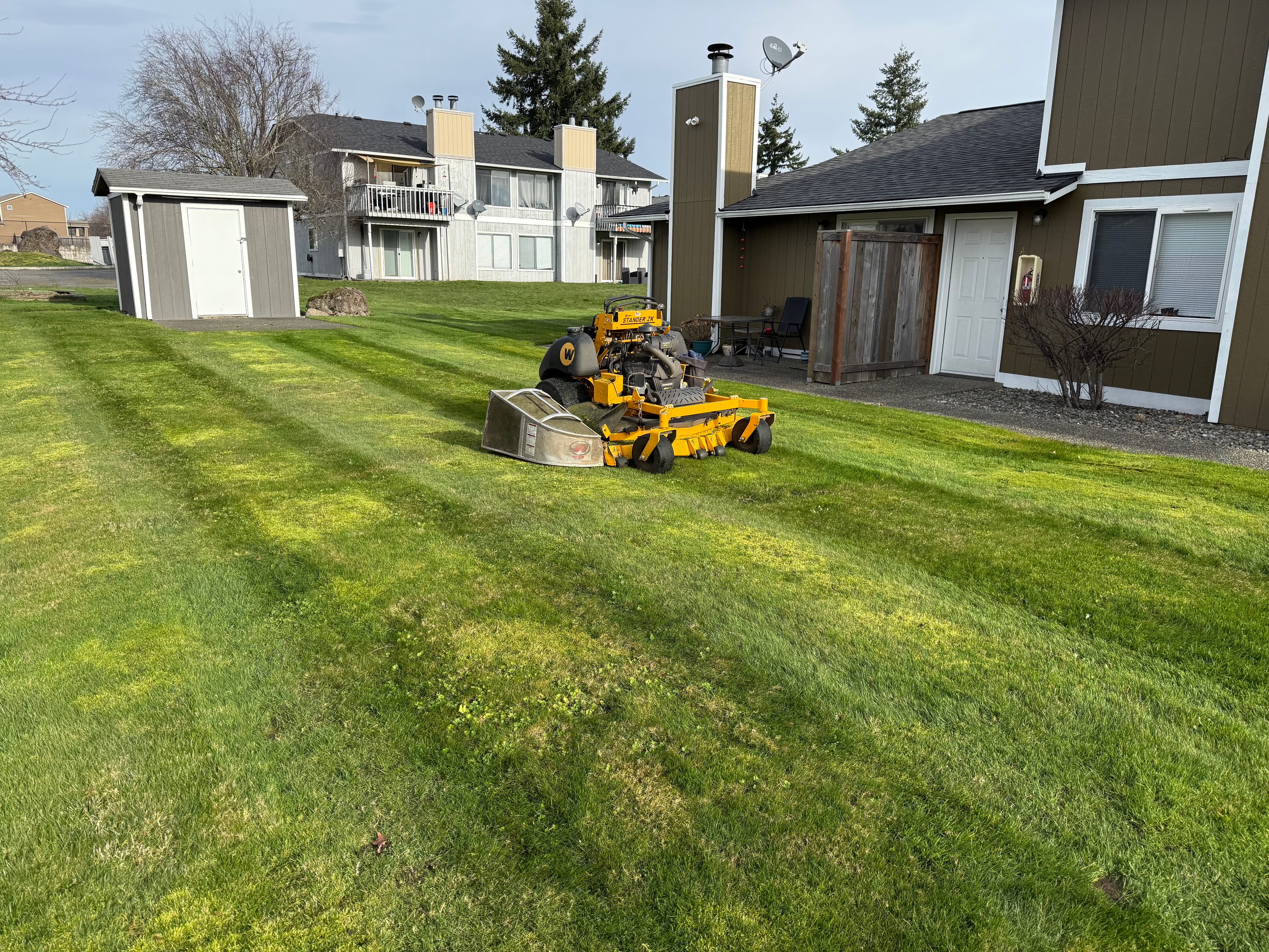 Project Transforming Lawns in Enumclaw image