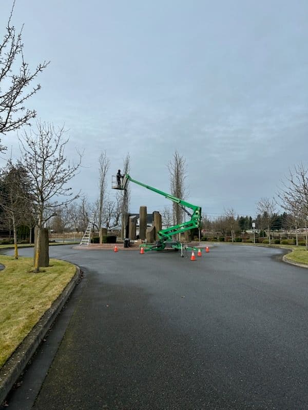 Christmas Light Installation for Enumclaw's Roundabout image