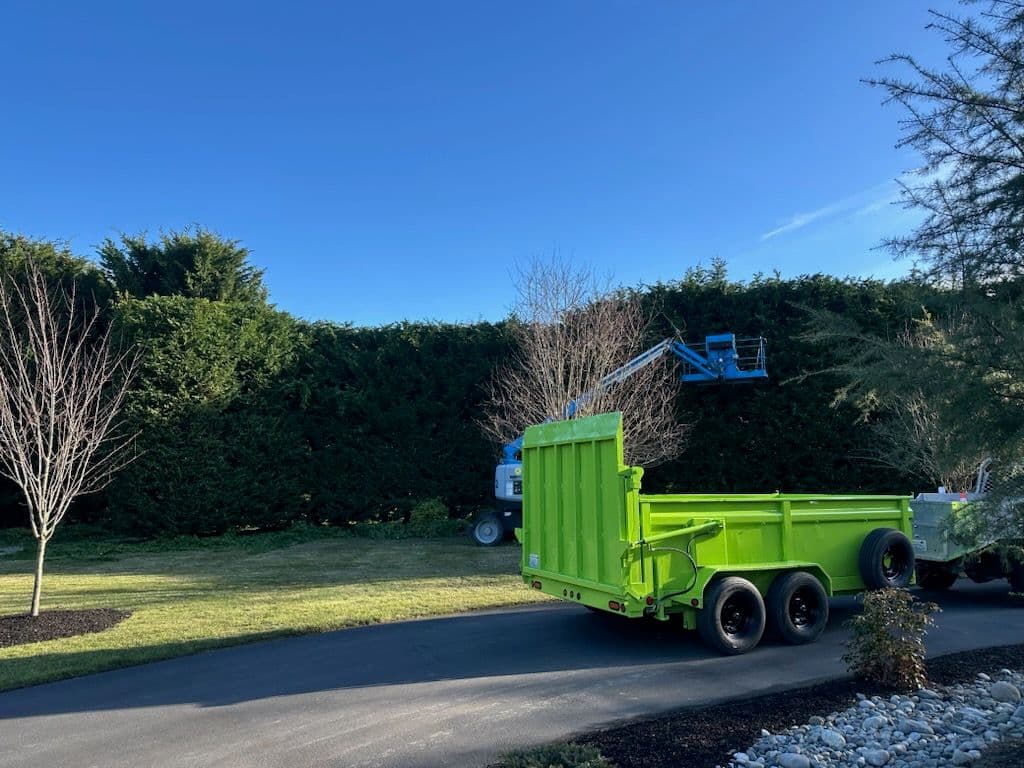 Tree Trimming in Washington image