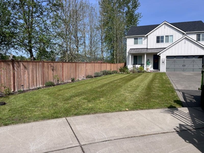 Buckley Lawn Makeover by HyperGreen Landscape image