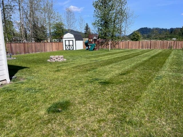 Gallery photos for Buckley Lawn Makeover by HyperGreen Landscape: Image #1