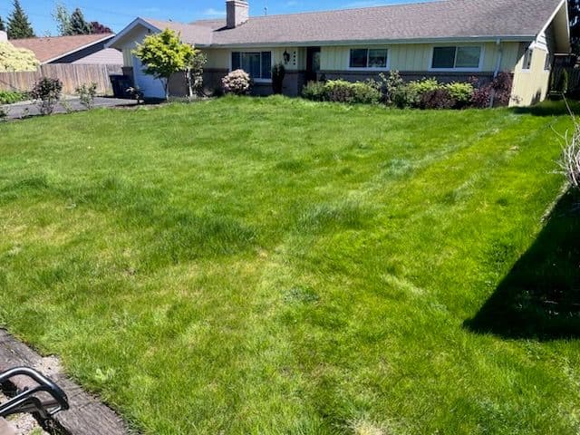 Stunning Enumclaw Lawn Transformation