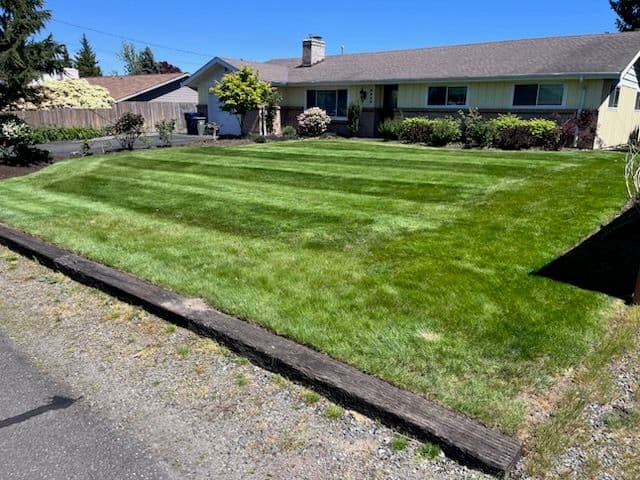 Gallery photos for Stunning Enumclaw Lawn Transformation: Image #1