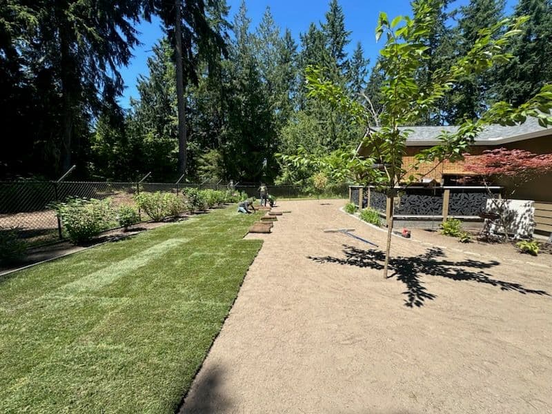 Stunning Sod Transformation in Wilkeson image