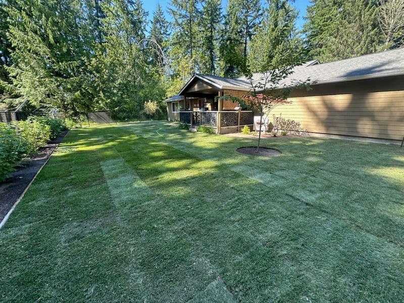 Gallery photos for Stunning Sod Transformation in Wilkeson: Image #1